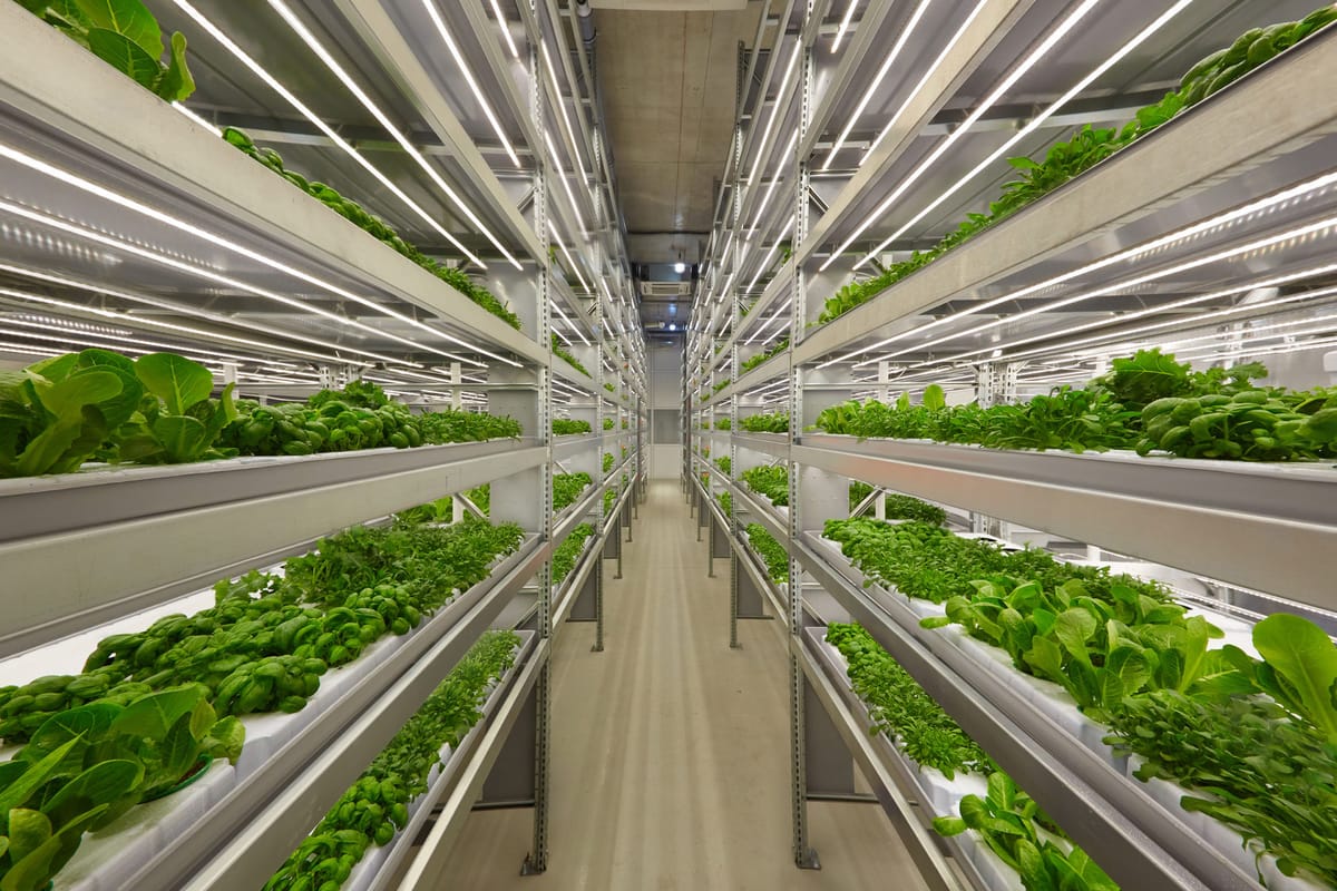 Singapore ranked second in world for foodtech startups in new report